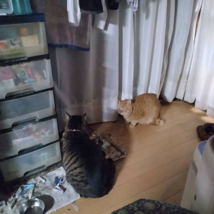 C0a9810f 681e 428e bca6 8f72377267e9 1706737019571