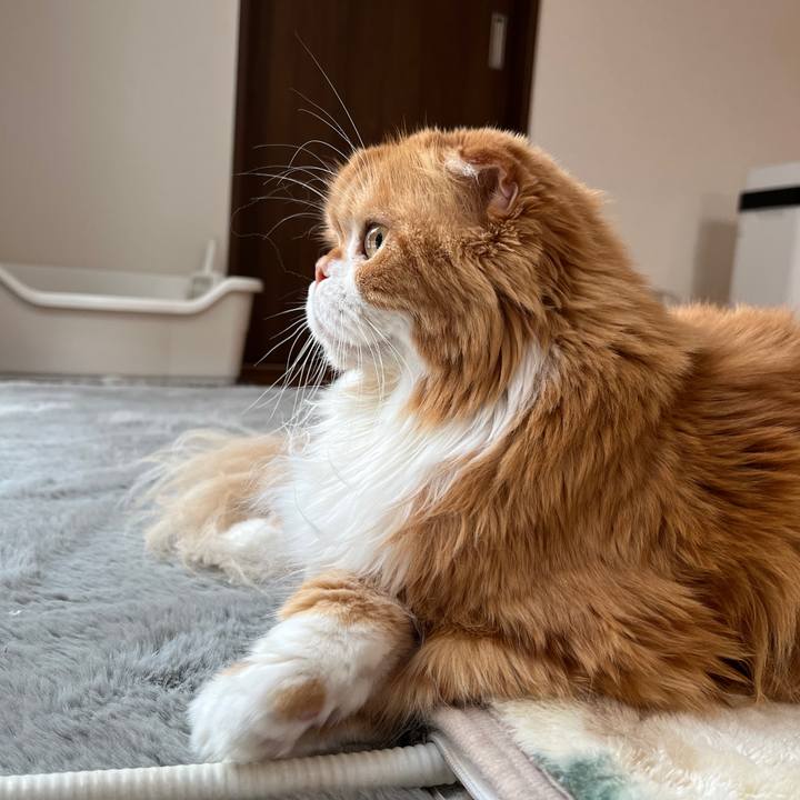 C0a9a5d3 77a0 4d22 9c61 26da7cdeadb1 1769221577514