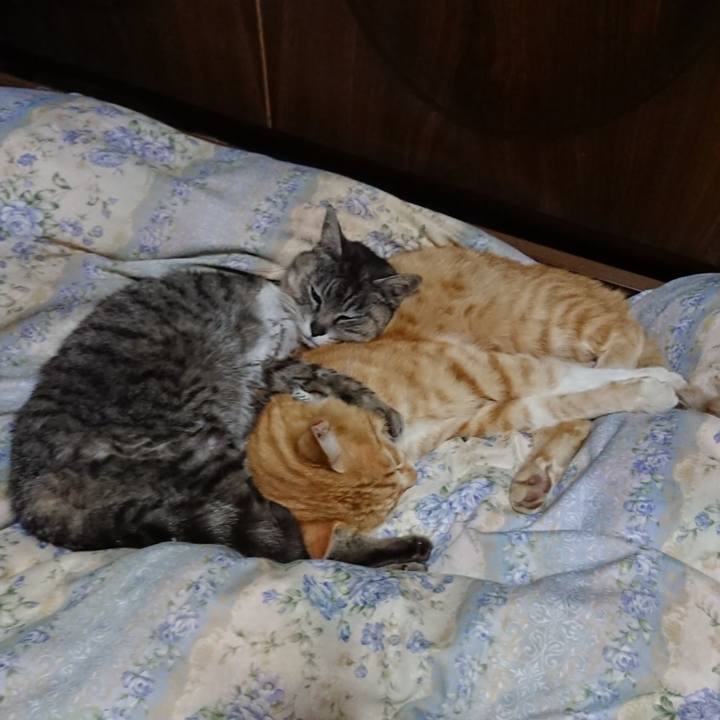 C0a9a65f 9126 4b8e 9f51 2e653ca1b194 1589199845869