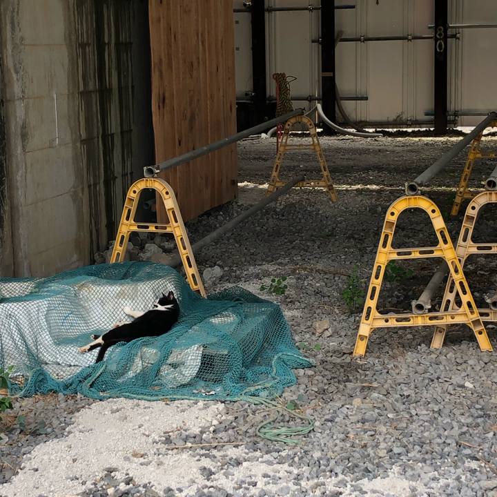 C0a9aec1 7f0a 4352 af32 95cf5b60fe75 1566721397073