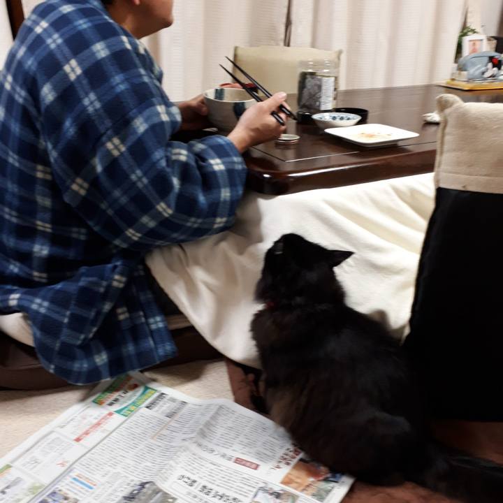 C0a9b146 6bc1 4177 8545 35333c2c1f5d 1517175084720