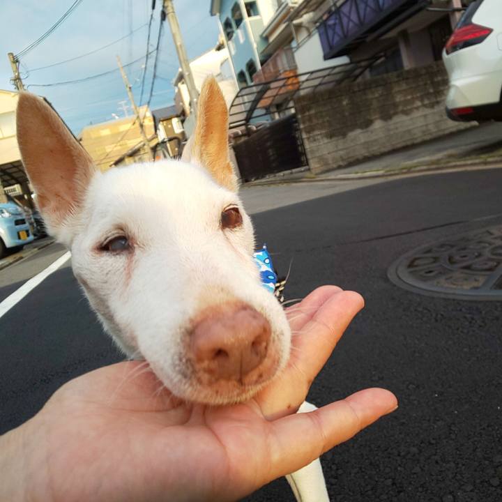 C0a9b6f4 84e4 4cc1 9651 7d7def2eca35 1568237522729