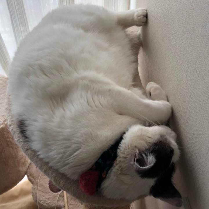 C0a9fa3b deee 4044 b505 4dc06059c19f 1558243023788