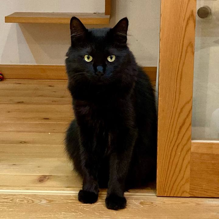 C0aa0ec0 af10 435b b89f 2dd86c21652e 1758372517464