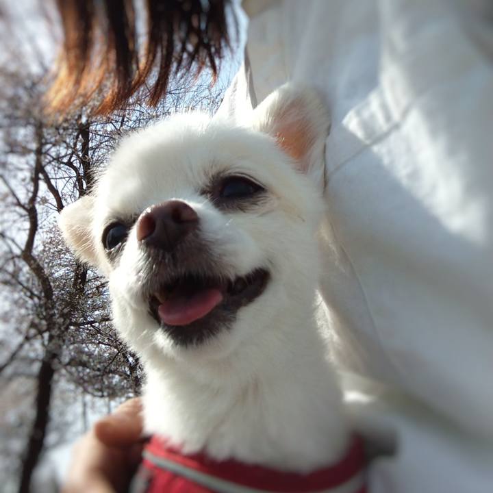 C0aa1417 a559 405d 8894 385949004661 1616827583764