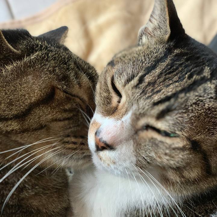 C0aa2812 807a 41ef a270 ddf58bb63828 1581902106304