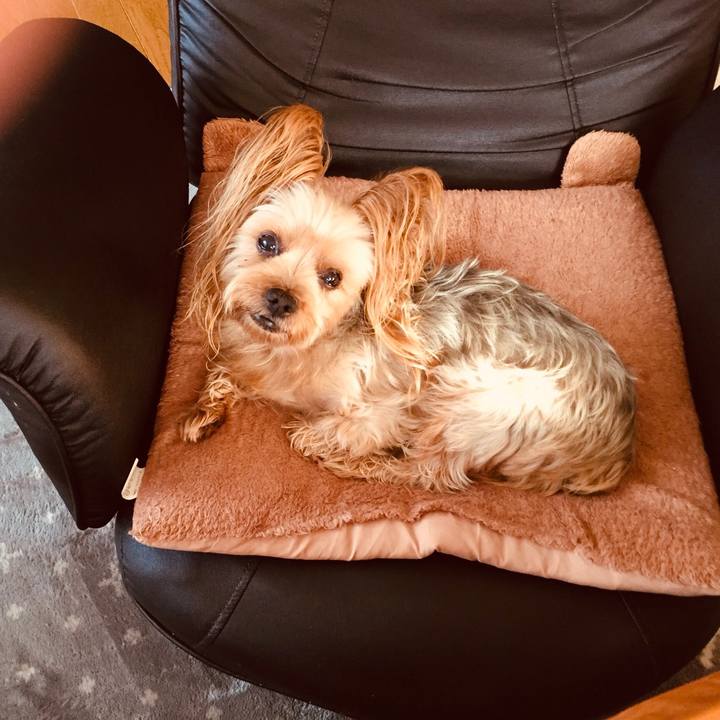 C0aa2ea1 ef88 4605 9c4d 2af37c72708d 1540249853157