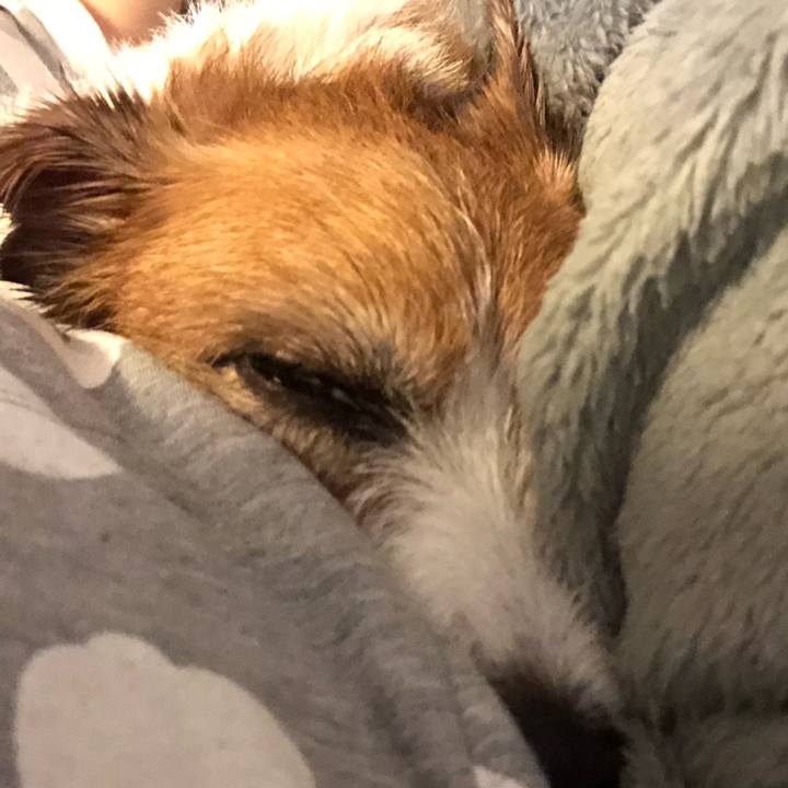 C0aa9f21 c8f8 4954 bef1 4f7b53dfff35 1596370494650