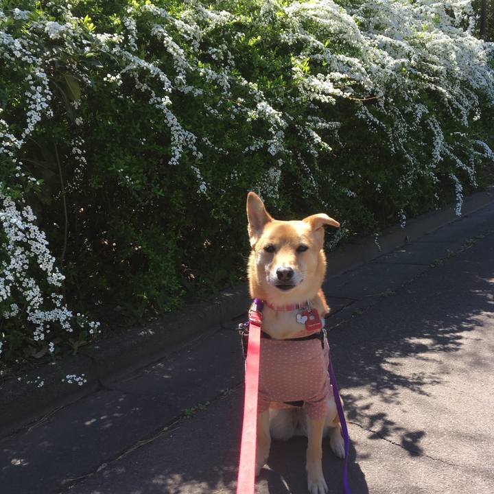 C0aaa375 8cbe 40fd 910a 057f4a96d0c4 1553401492716