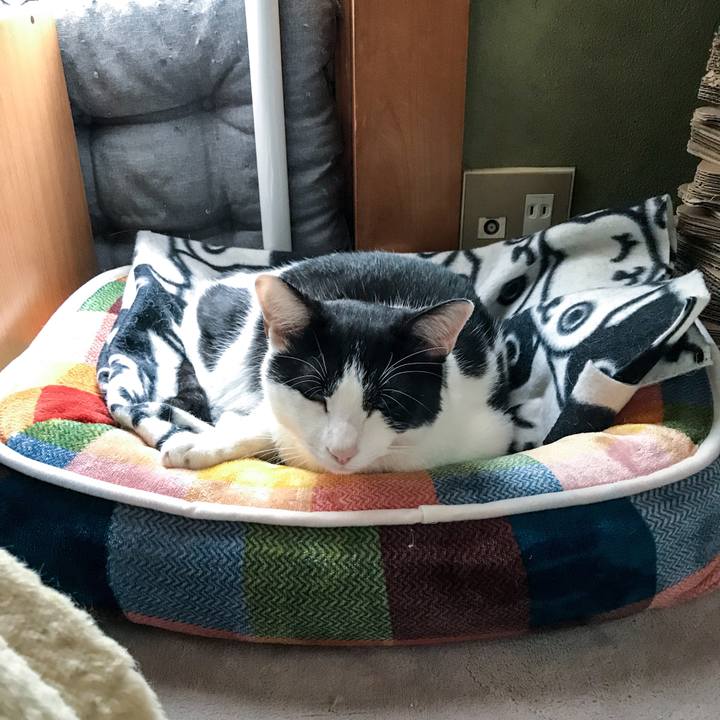 C0aaf24b c378 40e2 9365 f081ce97c229 1509758776348