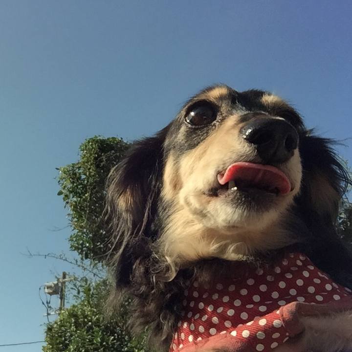 C0ab3d9d a71e 4c7d 889c 8955c7484745 1570319671992