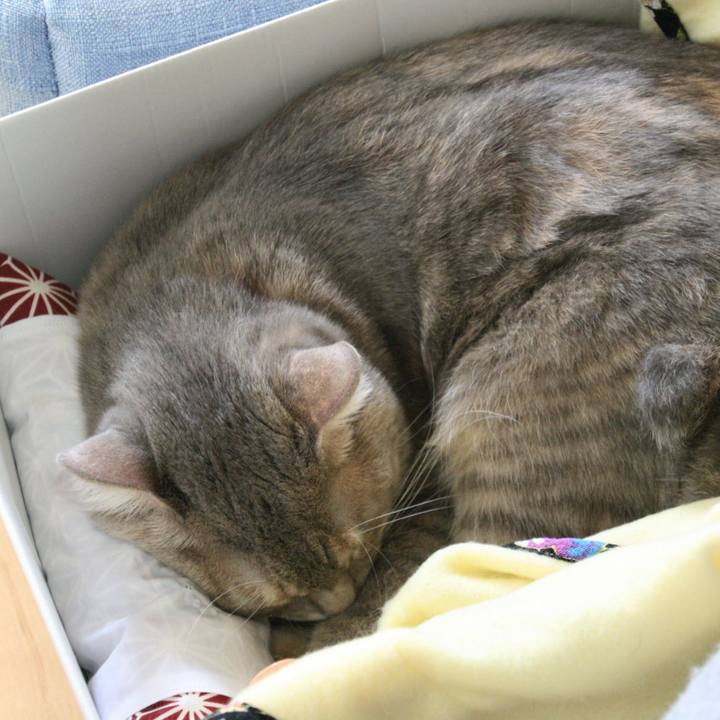 C0ab64a4 36e7 457f a304 17839459c045 1514362331061