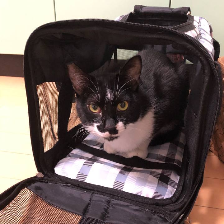 C0abb249 ecb7 4fe2 af46 401f31c9a21b 1540015242003