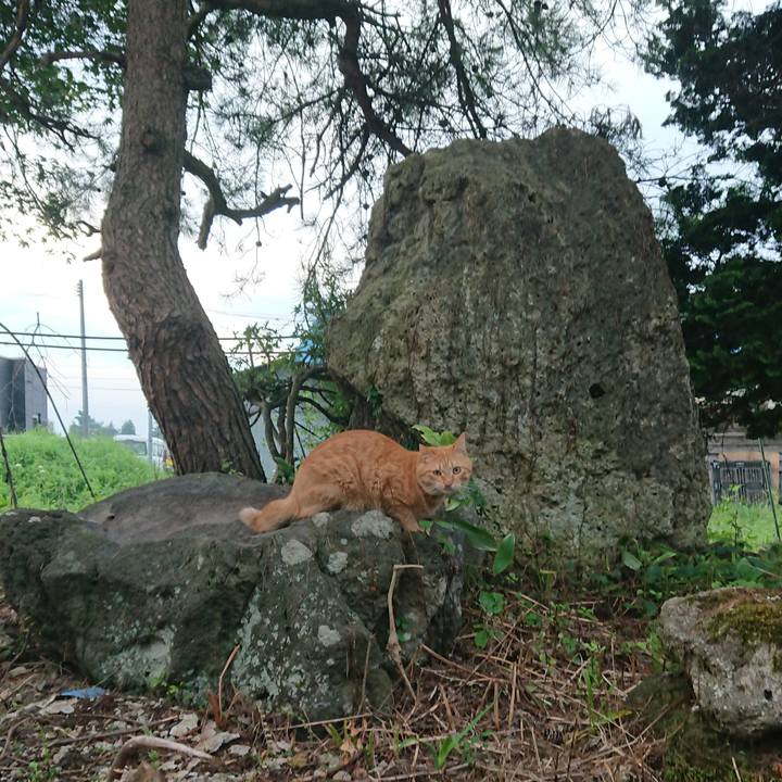 C0abdb2f e43f 4c04 ab15 9a9f5a9d7400 1660172225996