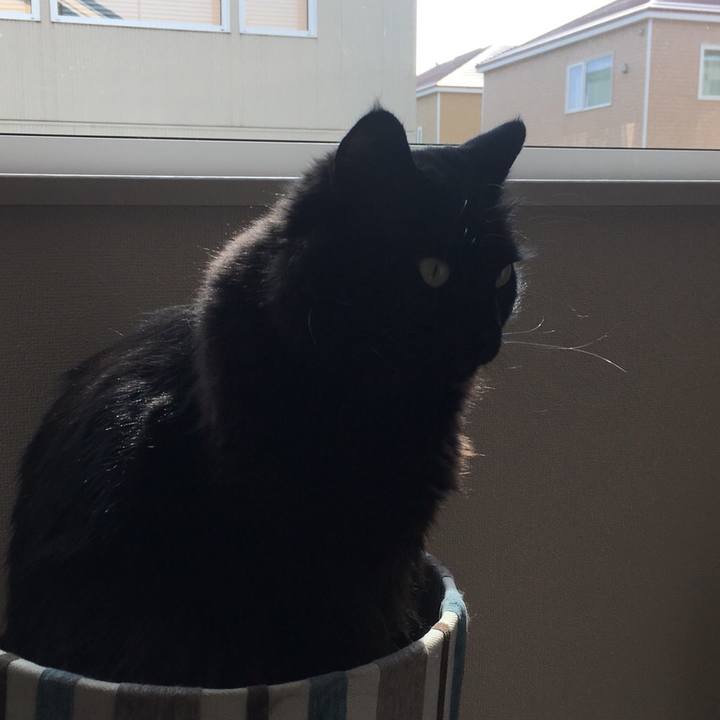 C0abebb1 9910 4e51 948b c594fd86f1a1 1522206820751