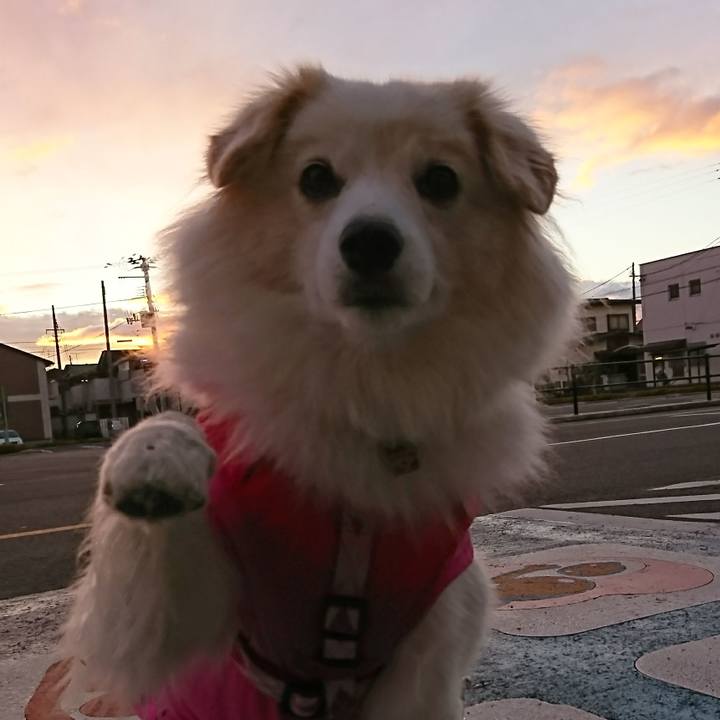 C0abef9c 94cf 439a b8ee f637857a0d3e 1510782300498