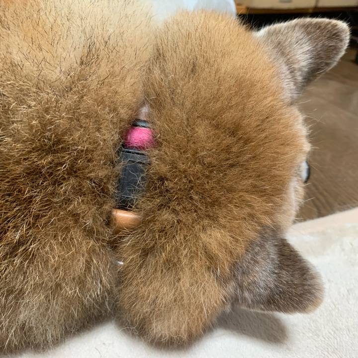 C0ac0b81 3da8 42d8 8f67 78de779843f7 1620570656902