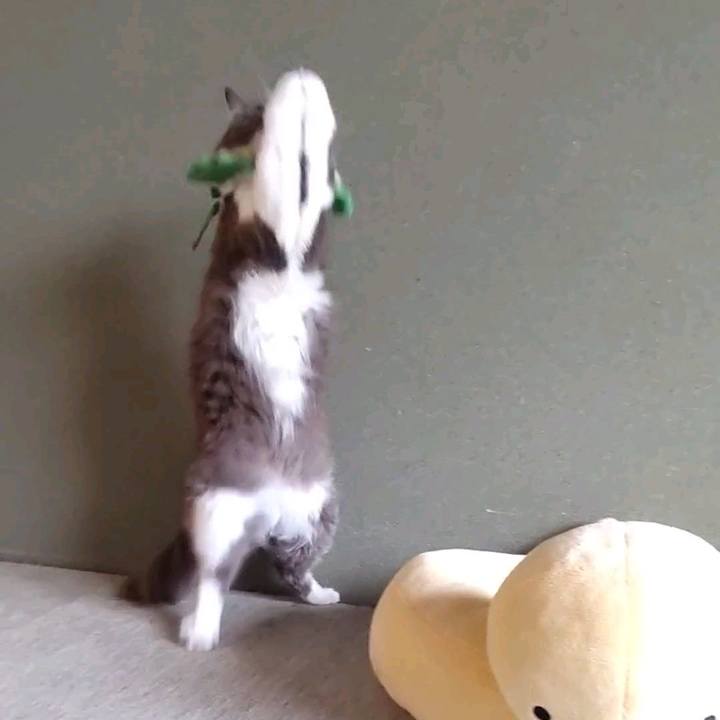 C0ac29c8 e9a7 4594 800b a52efd9ffb6a 1699765773569