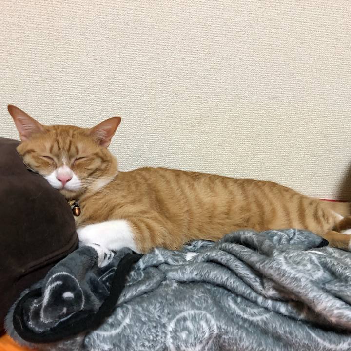 C0ac514b 4142 417b 95a3 49cc0cde5a93 1572180781944