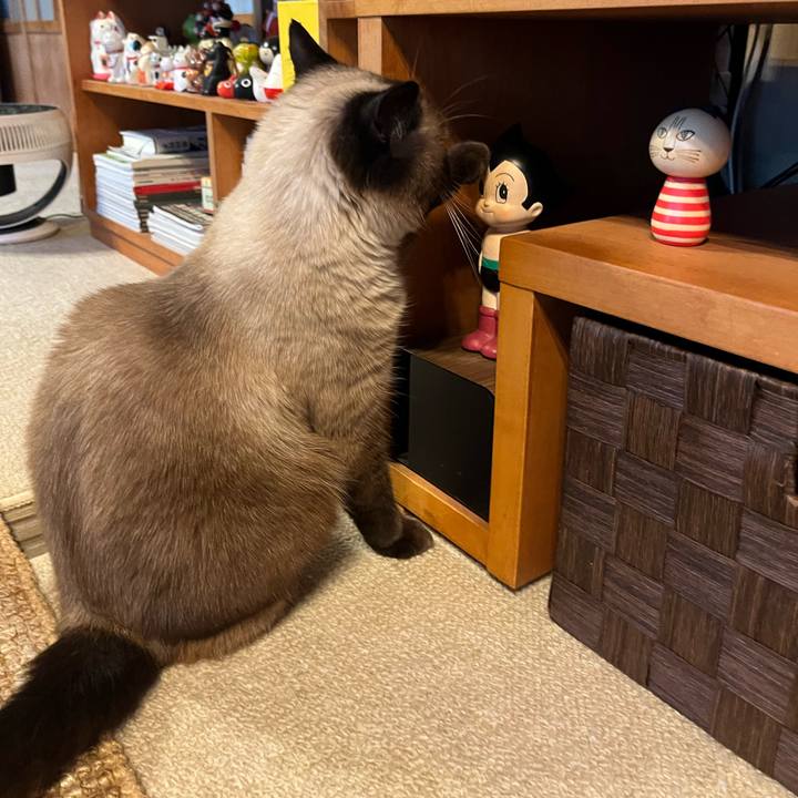 C0ac7625 db70 4ad2 be88 2629285af152 1723272016787