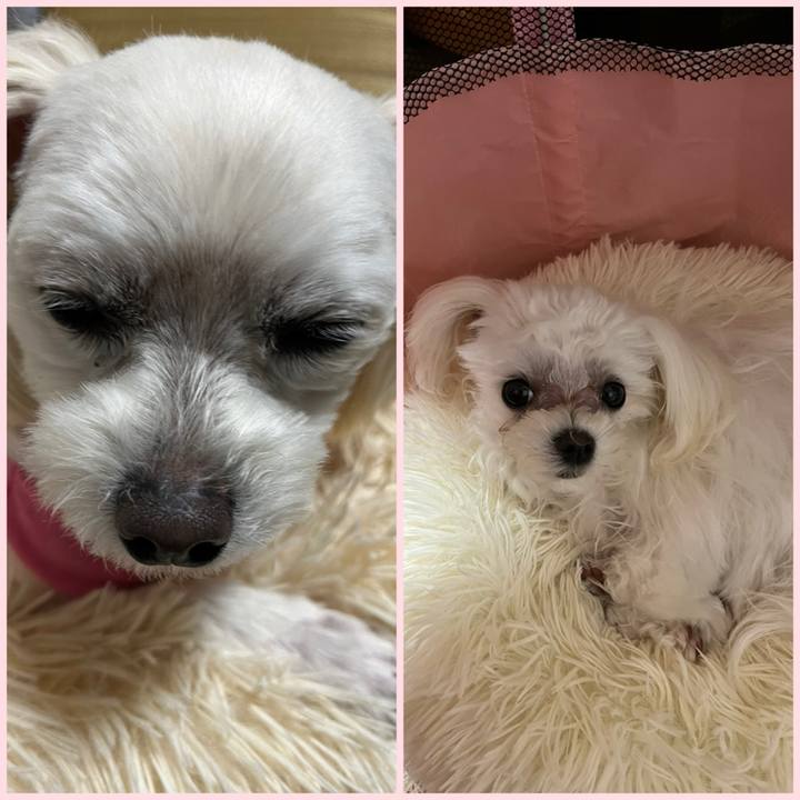 C0ac9193 99b8 4708 9fac aeddaf5a7551 1711976119611