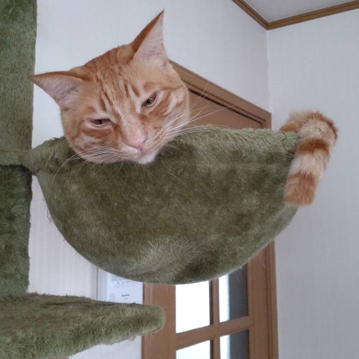 C0acaf33 1c52 4773 853d f77442466f71 1712400694269