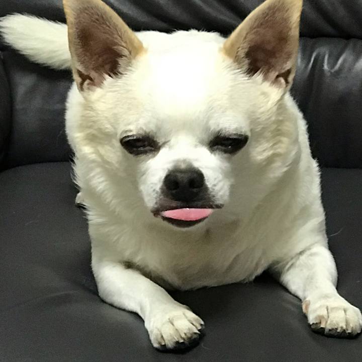 C0acd901 967a 47d8 98cc 45019b5c9b37 1567385845270