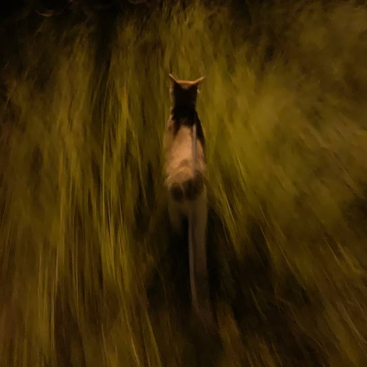 C0acdcec 1164 4673 92a4 1fcb7805fb00 1570011869131