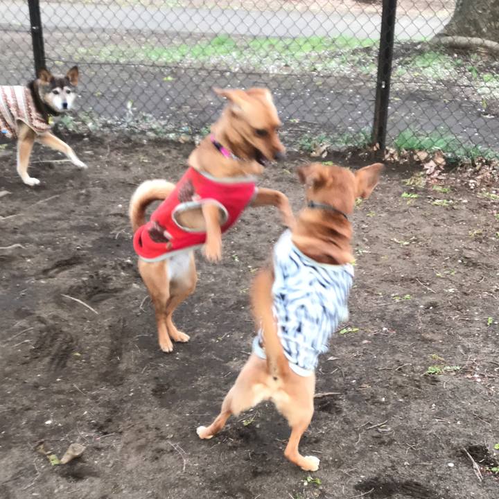 C0acf239 6d18 4099 962f fabdf7462f34 1554988156140