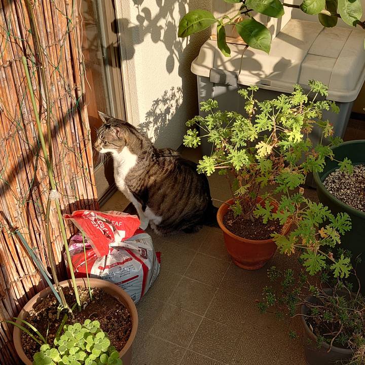 C0acff0d 47ab 42a7 87f6 a8ab727925a6 1702167189641