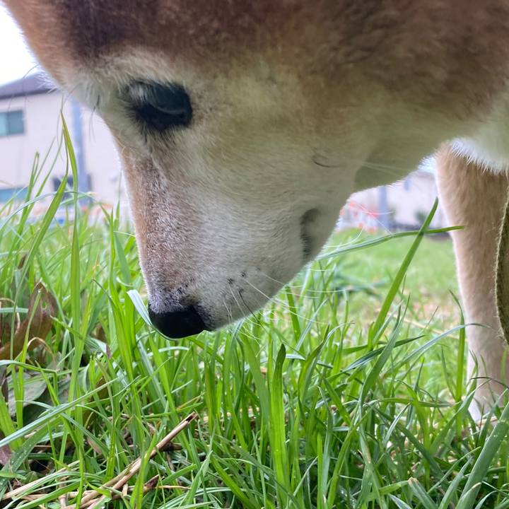 C0ad334d e5c6 4ca4 b0ad e456bd06b01f 1709253069067