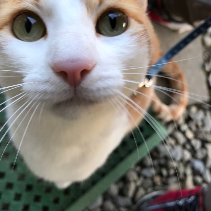 C0ad50fe ecd5 449a 80b1 77f004a03325 1512095267330