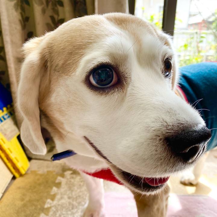 C0ad6260 5d84 4354 b816 a6e80203d7c9 1616213057378