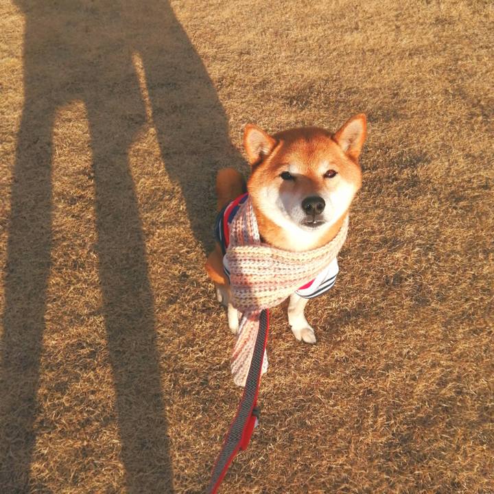 C0ad6777 93cc 4e07 99f1 a8011cde37cd 1644052601167