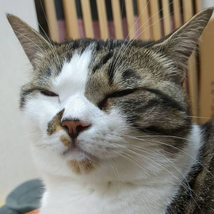 C0ad9667 9ef4 4655 9746 a7ceef992581 1684716005817