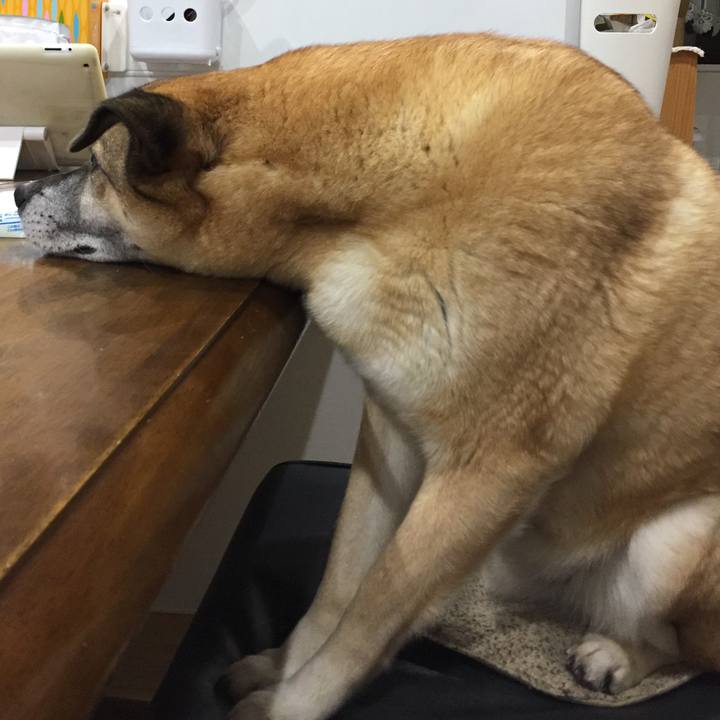 C0adceec 6f28 4355 a66f 36b167a500cd 1520077624455