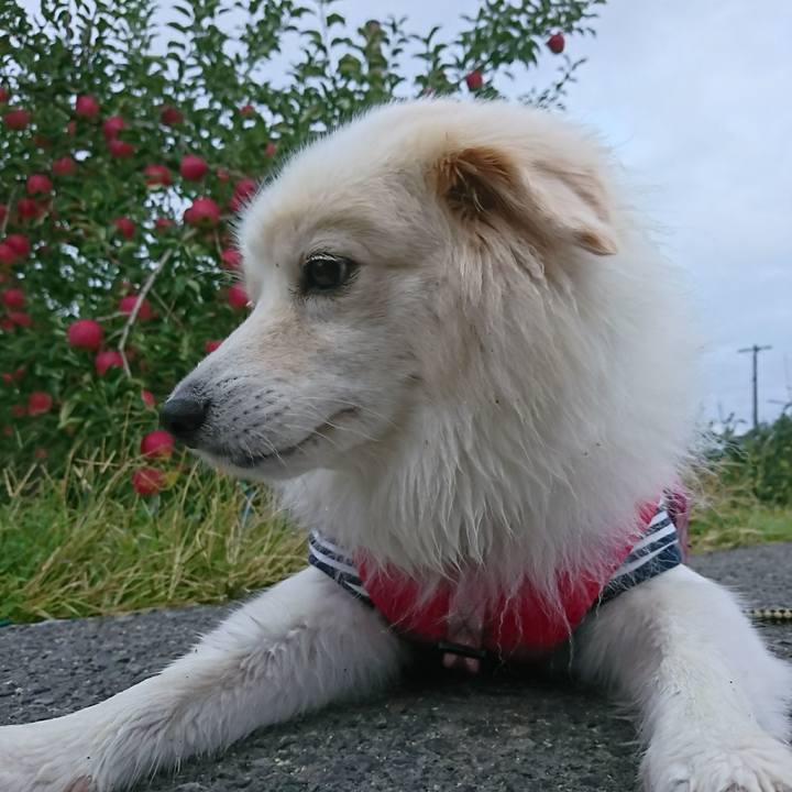 C0adddb9 9167 4f50 80bd 7085d8199a9c 1507930108983