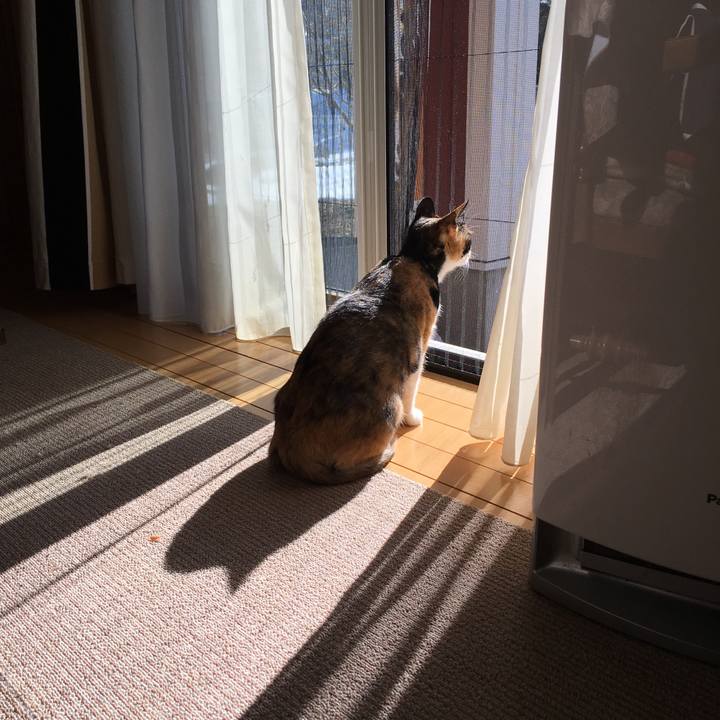 C0adf48e a0ce 45a4 b3a6 93a029b01848 1518568524030