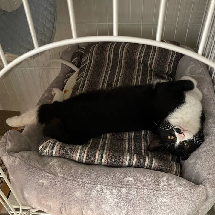 C0ae2b1a 2ac0 4dab ad80 cc0a1943f18b 1704809004670