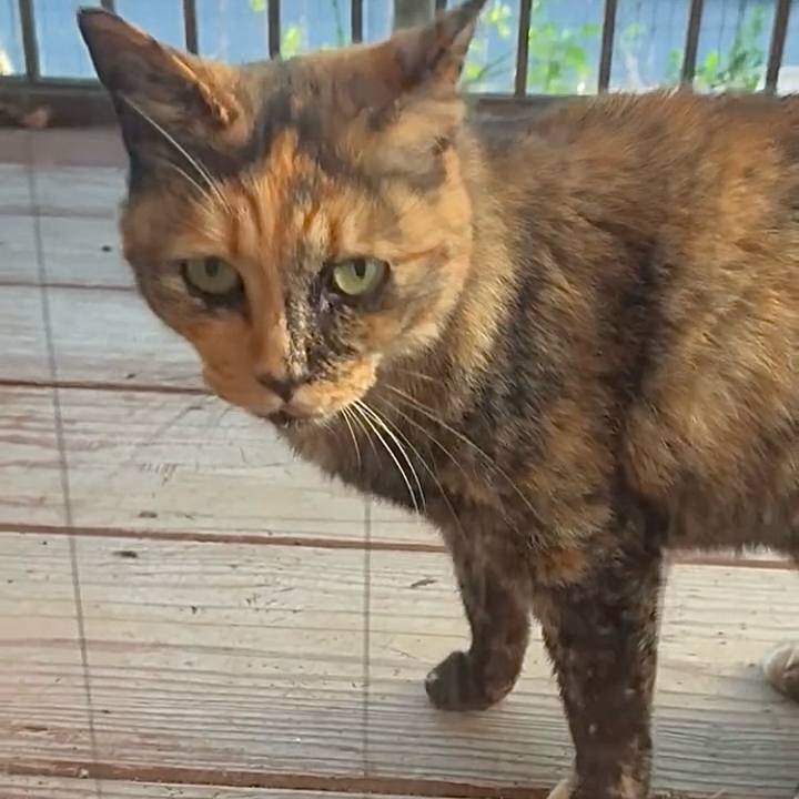 C0ae686b f10c 4638 8347 b1488db03b28 1750939617102