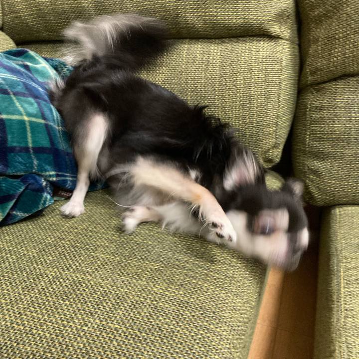 C0ae754a ca48 4af6 9e7d 92be7d5aa75e 1661090871312