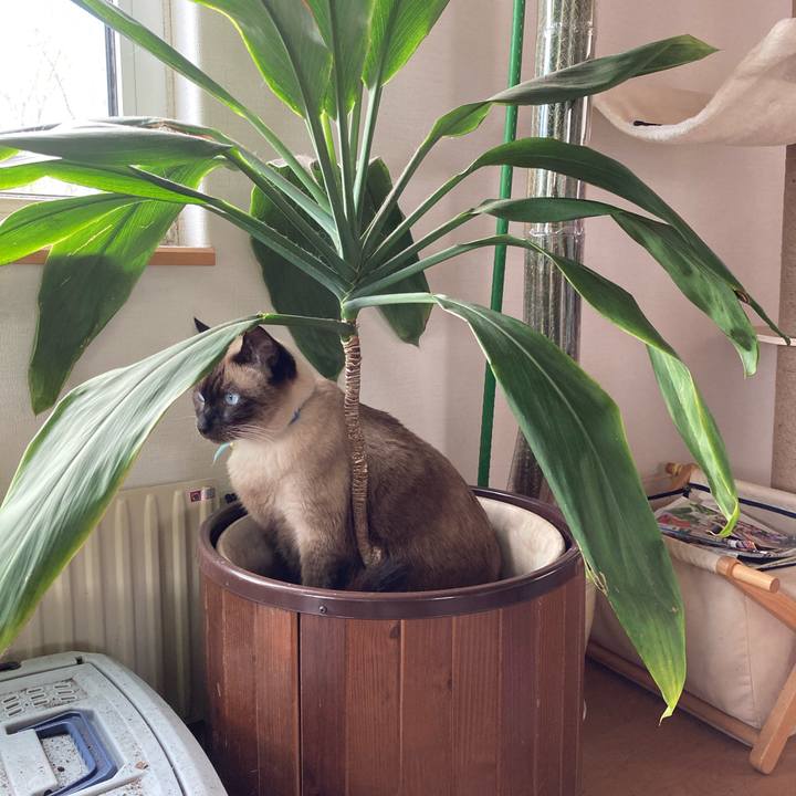 C0aeaff7 44d2 40ea 887c fa703c39b687 1746233772967