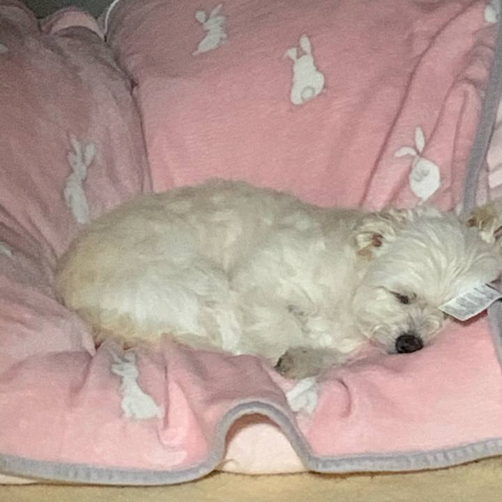 C0aec58a 6c5d 4463 8a3f e3db46fa4a6e 1615892491336