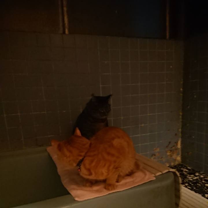 C0aee0fd f8d8 47fc 9492 3fe981904d07 1644057215881