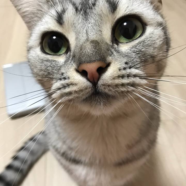 C0af0ef5 589d 4102 a52a 04c2f918c1bb 1543793563548