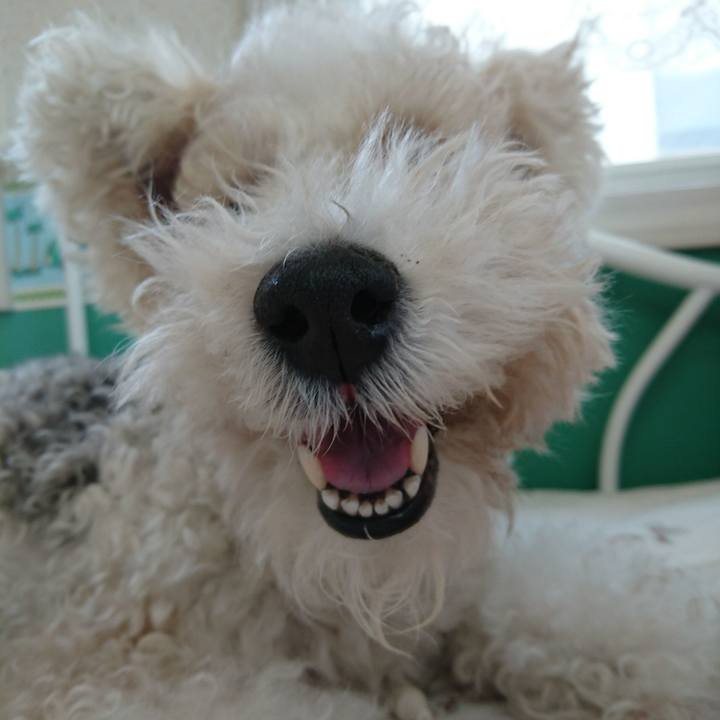 C0af1f8f adf4 49fa b28e a071a5f31f02 1522811034543