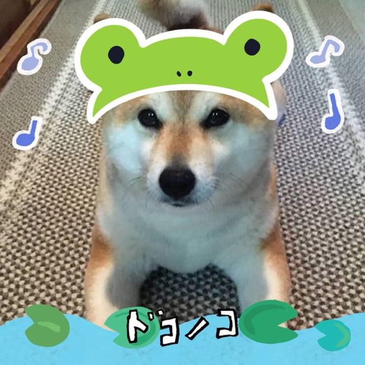 C0af78a0 9a79 444d 8513 88540600d97c 1717675677999