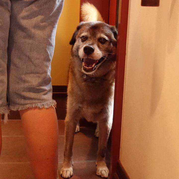 C0af7da1 4a5e 4a9c 9428 2cc7af000582 1532821444216