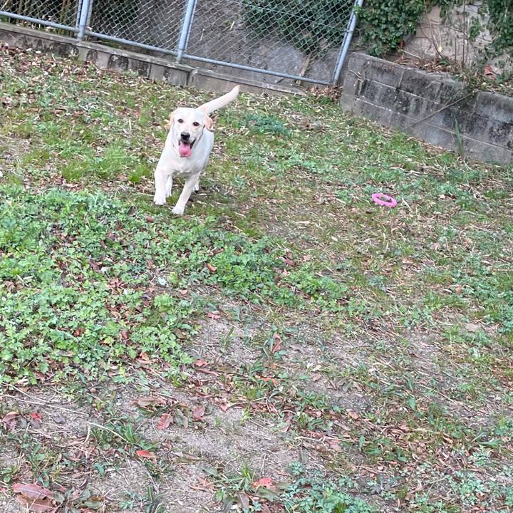 C0af8c9d e39e 468c 9f29 66b8aab903ca 1641645964816