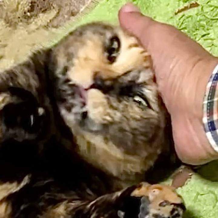 C0af96a7 0a42 462b bbe4 541b9324818d 1734144676387